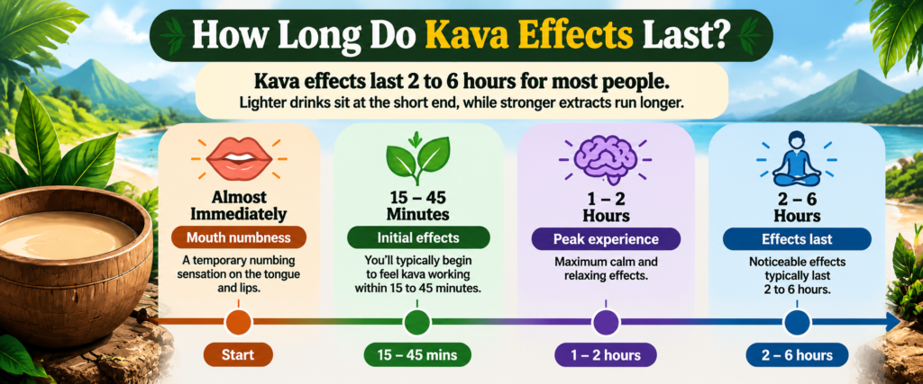 Kava effects timeline infographic showing onset, peak experience, and duration of effects from 15 minutes to 6 hours